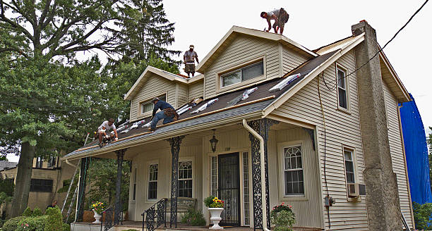 Roof Gutter Cleaning in Noblesville, IN